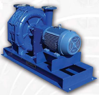 Centurion™ Series Cast Iron Blowers and Exhausters